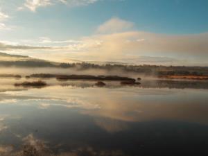 Jesensko jutro__ Andrej Udovič (diploma)